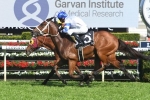 Equal favourites for 2019 Epsom on race morning