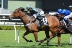Slightly Sweet To Take Benefit From Light Fingers Stakes Run
