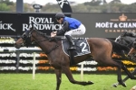 Shadow Hero a firm favourite in Victoria Derby betting