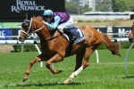 Scratchings Open Up Grafton Cup