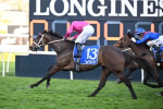 Fangirl Favoured to Lead Waller Charge in Apollo Stakes 2024