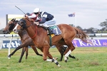 O’Shea looking for second Epsom Handicap
