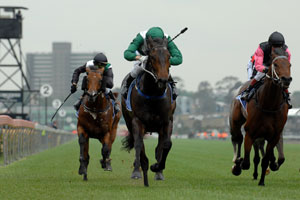 Derby Star Observer Eyes Group 1 Double in 2026 Australian Guineas