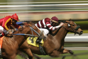 Undefeated Queen Hunts History: Autumn Glow Heads Hot 2025 Golden Eagle Field