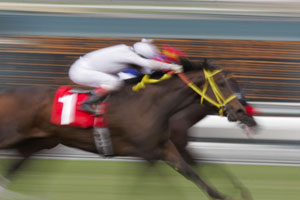 Tentyris Leads Elite Sprint Field in 2026 Black Caviar Lightning