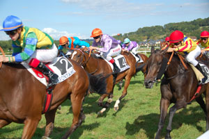 Tentyris Leads Elite Sprint Field in 2026 Black Caviar Lightning