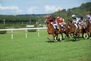 Undefeated Queen Hunts History: Autumn Glow Heads Hot 2025 Golden Eagle Field