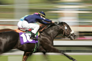 Undefeated Queen Hunts History: Autumn Glow Heads Hot 2025 Golden Eagle Field