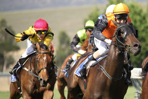 Undefeated Queen Hunts History: Autumn Glow Heads Hot 2025 Golden Eagle Field