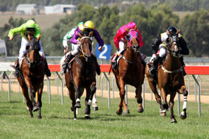 Tentyris Leads Elite Sprint Field in 2026 Black Caviar Lightning