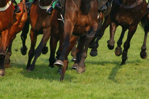 Undefeated Queen Hunts History: Autumn Glow Heads Hot 2025 Golden Eagle Field