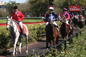 Undefeated Queen Hunts History: Autumn Glow Heads Hot 2025 Golden Eagle Field